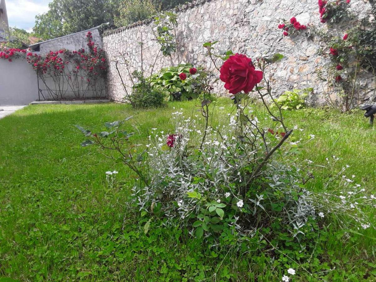 Vakantiehuis Casa Bellavista Rijeka